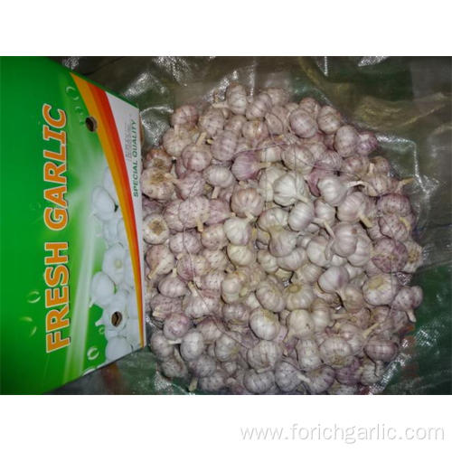 Hot Sale Fresh Normal White Garlic